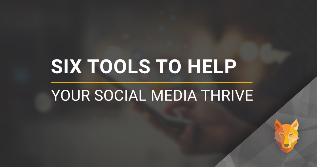 wolfnet six tools to help your social media thrive