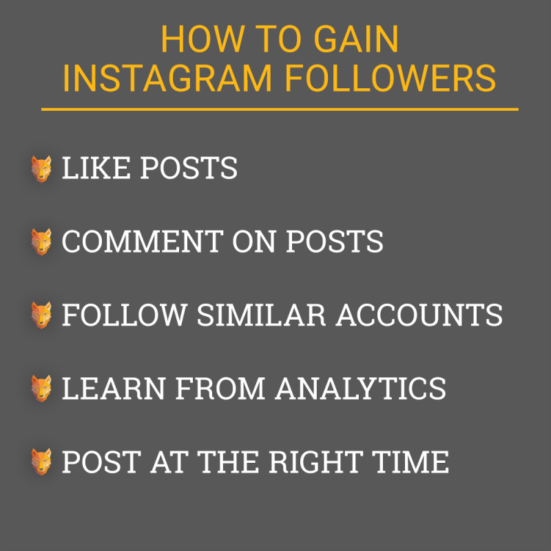 wolfnet how to attract real estate leads on instagram