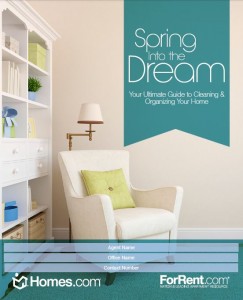 spring into the dream cover page 243x300
